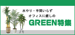オフィスの手間いらず・水入らず 観葉植物