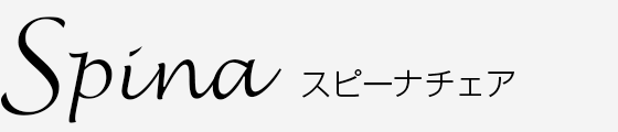 イトーキ　スピーナチェアspina