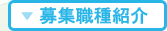 職種紹介