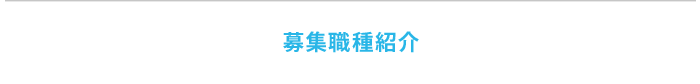 募集職種紹介