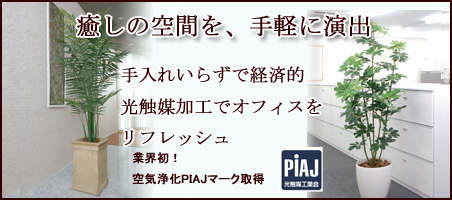 アートグリーンは光触媒の人工観葉植物です。