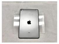 iPad mini5(第5世代)Cellular 256GB スペースグレイ MUXC2J/A