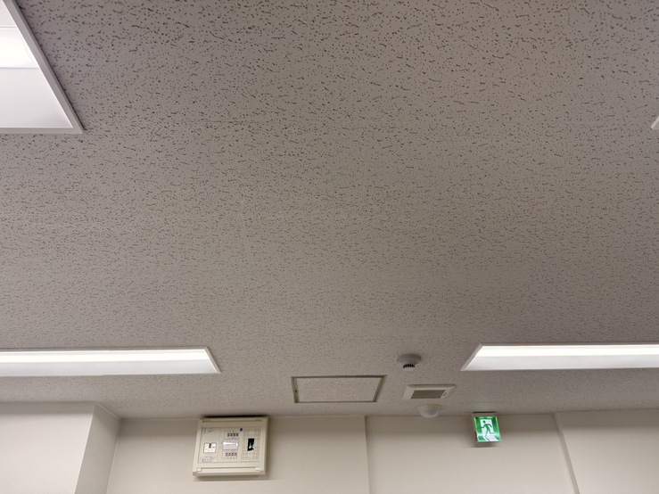施工前の天井